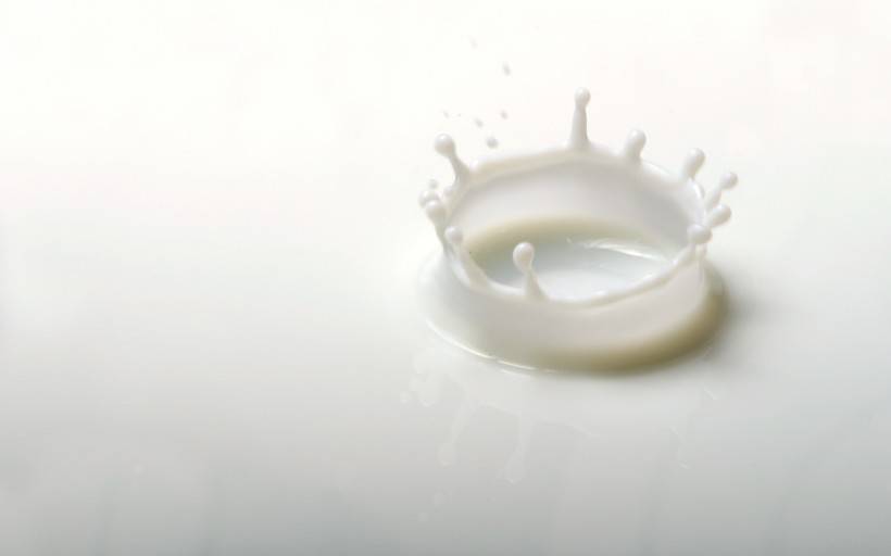 点击大图看下一张：牛奶图片大全香醇营养满分