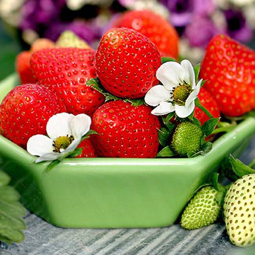 点击大图看下一张：鲜甜诱人的草莓甜点图片