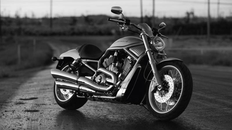 点击大图看下一张：世界顶级休闲摩托车哈雷高清桌面壁纸