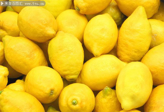 点击大图看下一张：刚摘下的黄色柠檬图片