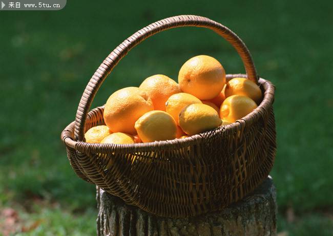 点击大图看下一张：一篮子新鲜的橙子图片