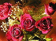 鲜艳的玫瑰花束图片素材