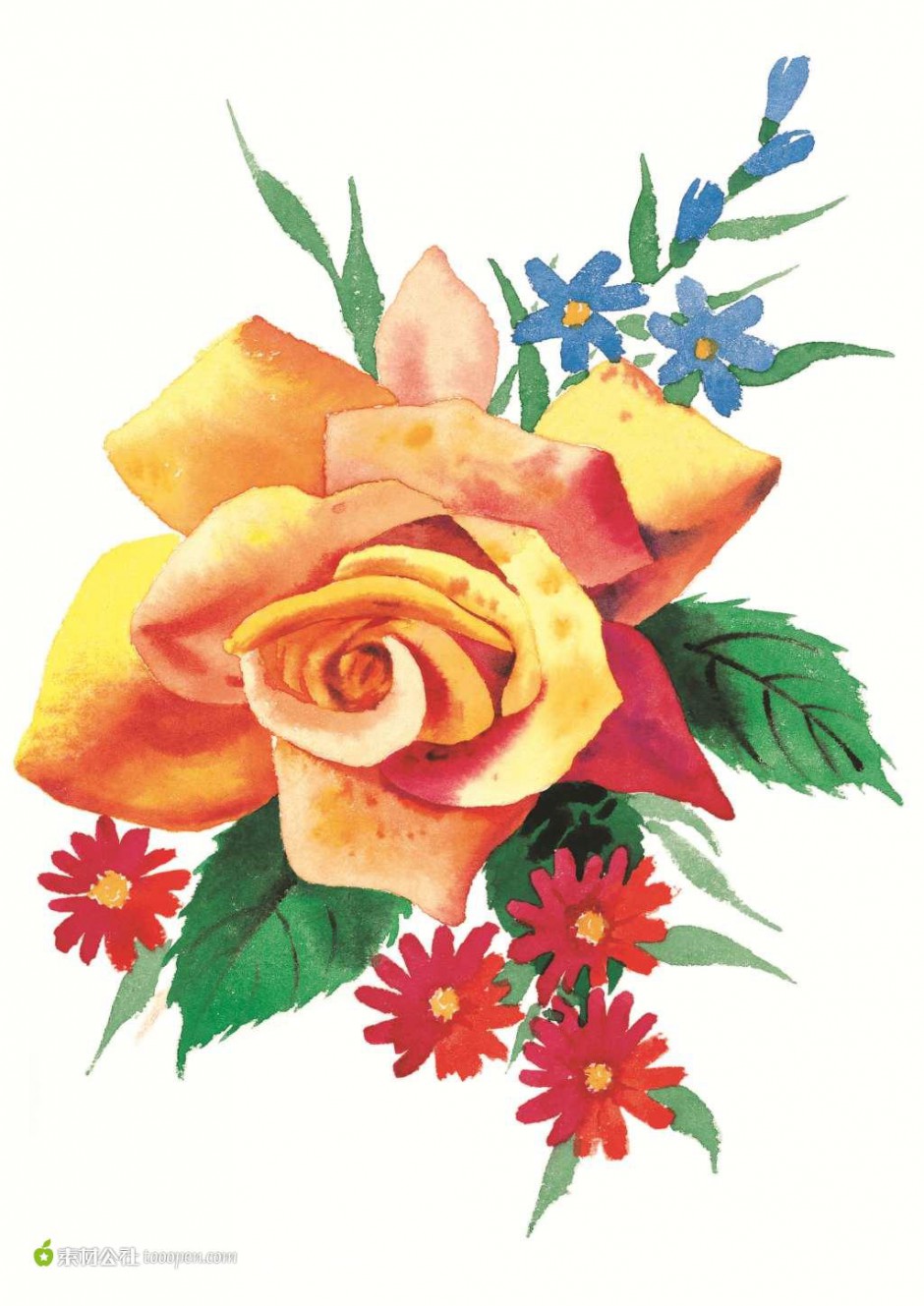 点击大图看下一张：花与画的艺术玫瑰花手绘图