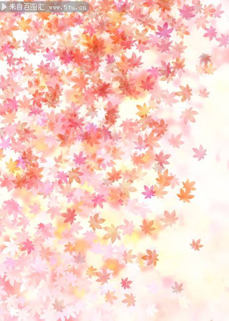 点击大图看下一张：唯美粉色枫叶背景图片素材