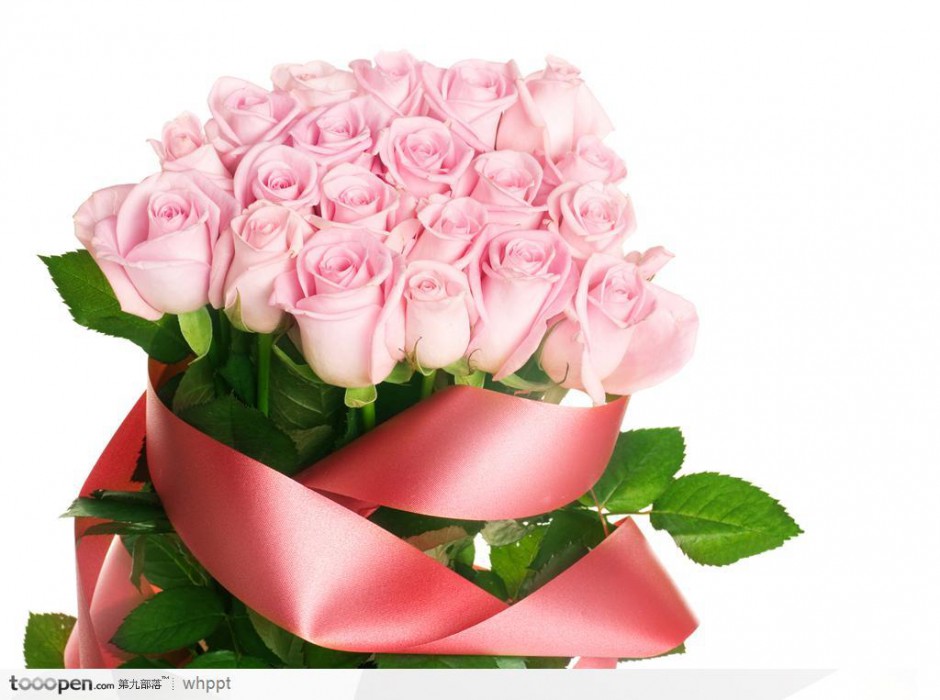 点击大图看下一张：玫瑰花粉色背景图片素材