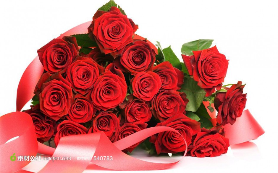 点击大图看下一张：浪漫情人节丝带红玫瑰素材