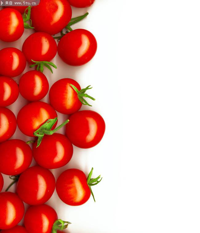 点击大图看下一张：红彤彤可爱番茄精美背景素材