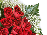 娇艳的红玫瑰花束高清大图