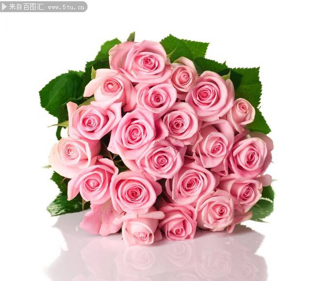 点击大图看下一张：唯美的粉红玫瑰花束图片赏析