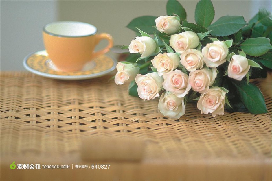 点击大图看下一张：最新好看的玫瑰花图片素材