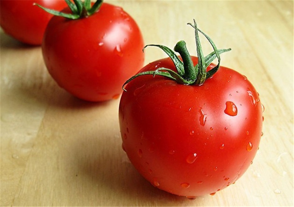 点击大图看下一张：鲜嫩可口的西红柿植物图片