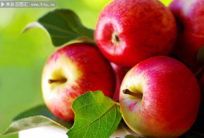 点击大图看下一张：硕大诱人的红苹果高清图片素材