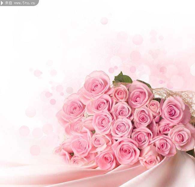 点击大图看下一张：艳粉玫瑰图片娇媚欲滴