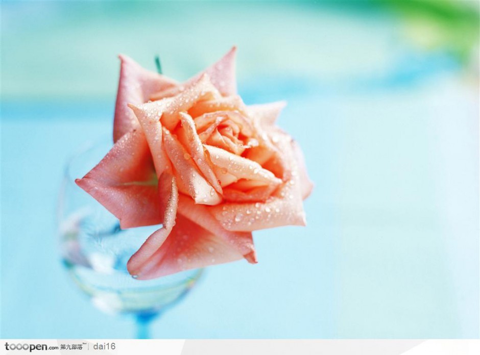 点击大图看下一张：唯美的粉色玫瑰花艺图片欣赏