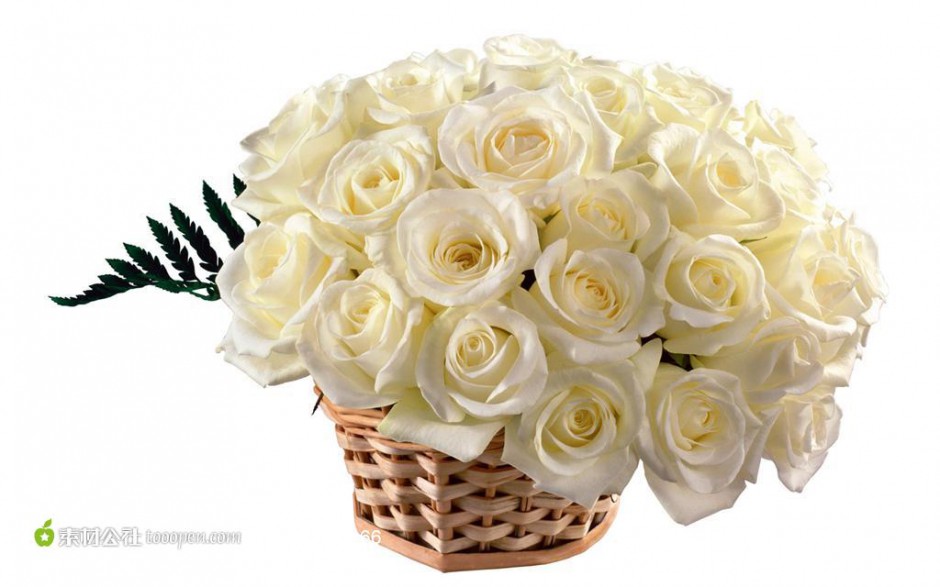 点击大图看下一张：一篮子白玫瑰鲜花摄影图片