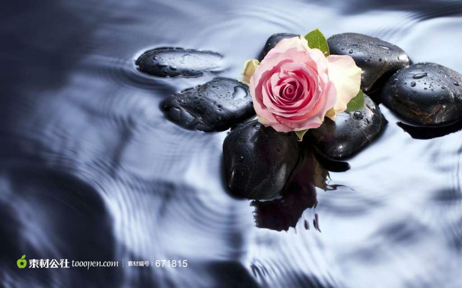 点击大图看下一张：水中的粉色玫瑰图片素材