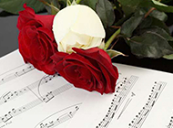 乐谱上的玫瑰花艺术图片