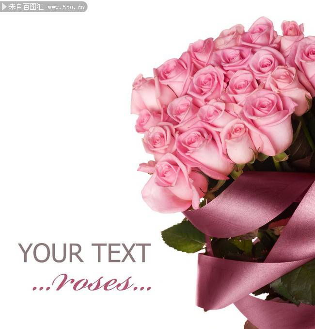 点击大图看下一张：唯美淡雅的粉玫瑰背景图片