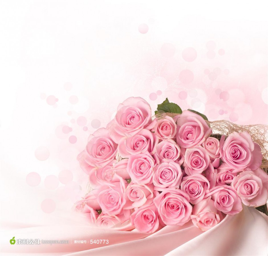 点击大图看下一张：浪漫唯美粉玫瑰花束摄影大图