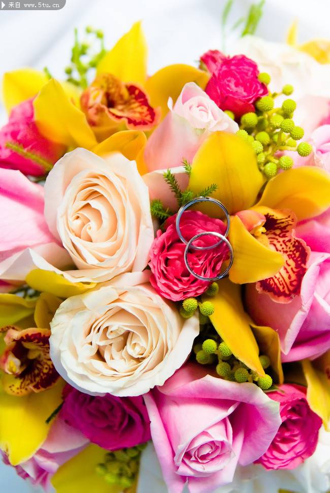 点击大图看下一张：鲜花图片大全彩色花束浪漫素材分享