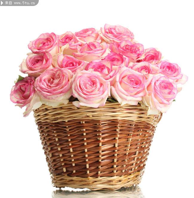 点击大图看下一张：一篮子的粉玫瑰清新图片