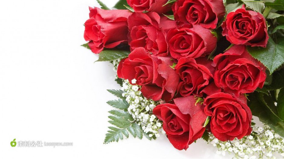 点击大图看下一张：火红玫瑰浪漫风景高清壁纸