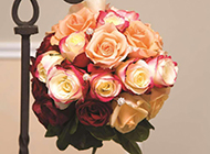 玫瑰花花束唯美节日图片素材
