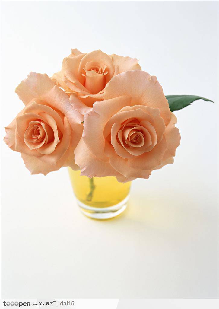 点击大图看下一张：情人节漂亮的玫瑰花图片