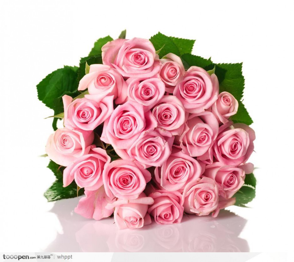 点击大图看下一张：玫瑰花图片唯美粉色背景