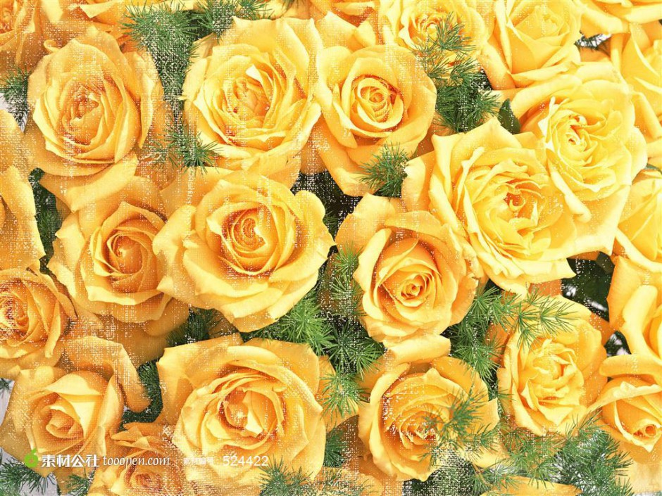 点击大图看下一张：美丽动人的黄玫瑰高清电脑桌面壁纸