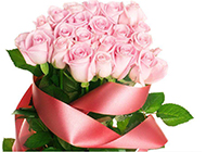 玫瑰花粉色背景图片素材