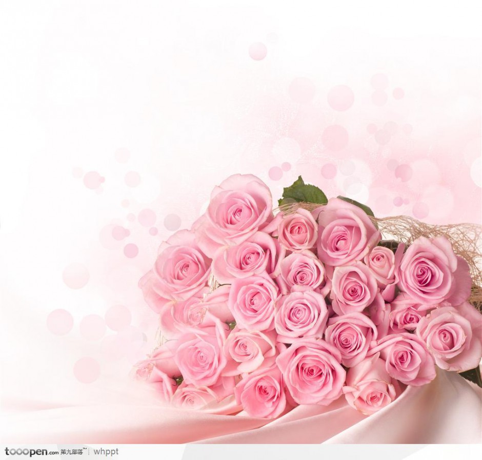 点击大图看下一张：唯美的一束粉色玫瑰花图片