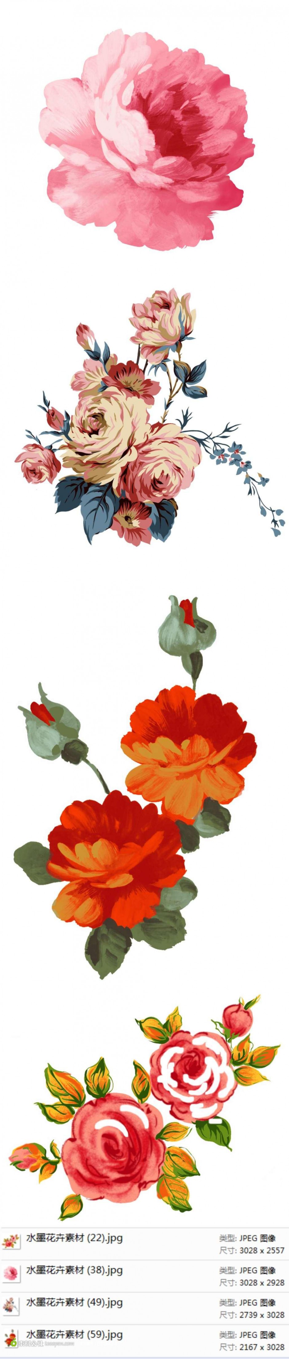 点击大图看下一张：水墨素描玫瑰花插画图片
