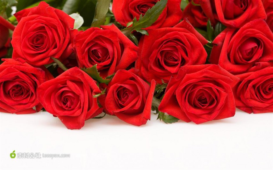 点击大图看下一张：高清晰唯美红玫瑰花图片