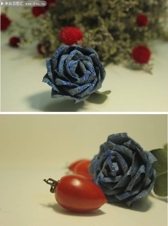 点击大图看下一张：蓝玫瑰花图片素材分享