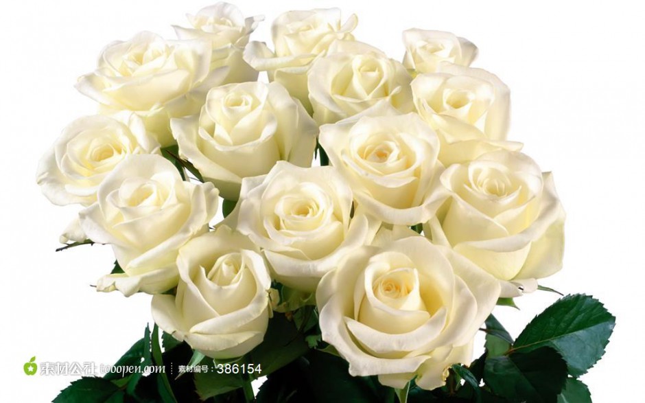 点击大图看下一张：一束白玫瑰唯美图片