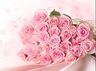 粉色玫瑰背景素材清新唯美