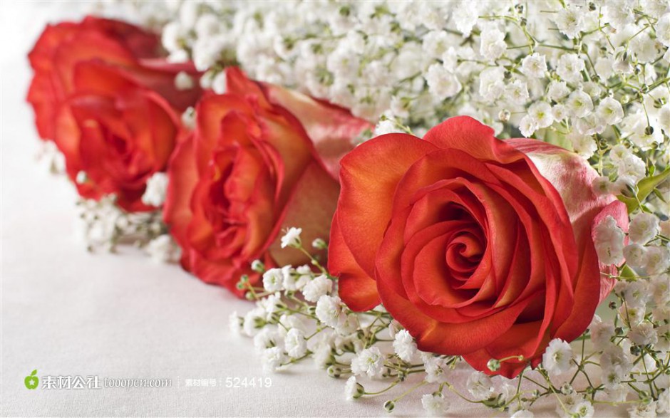 点击大图看下一张：亭亭玉立的玫瑰花束素材