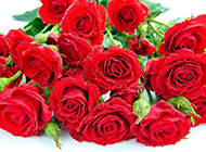 浪漫红红火火的玫瑰花束