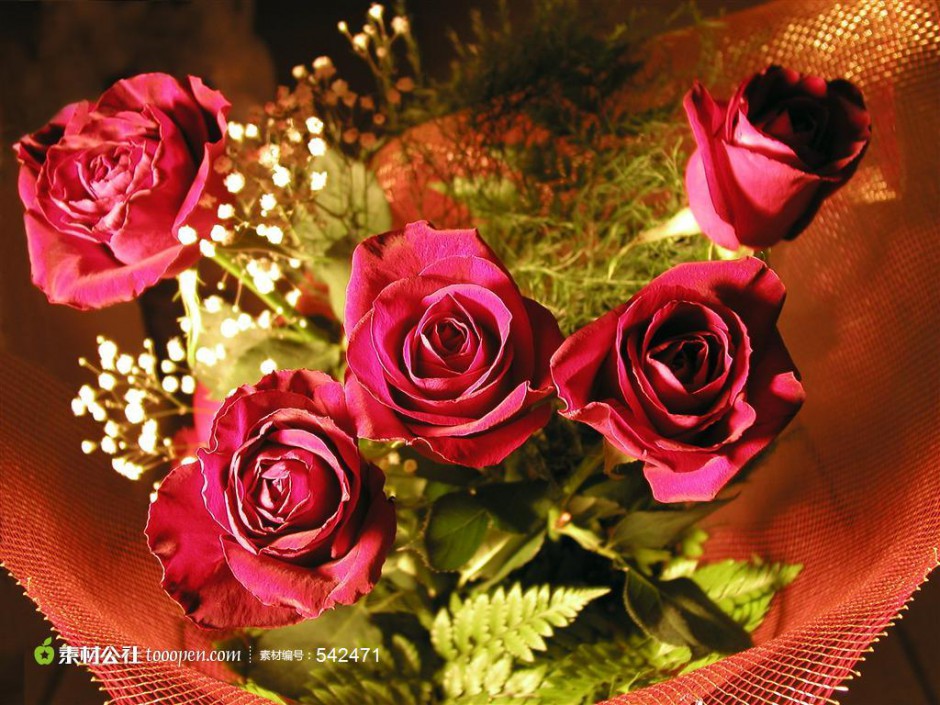 点击大图看下一张：鲜艳的玫瑰花束图片素材