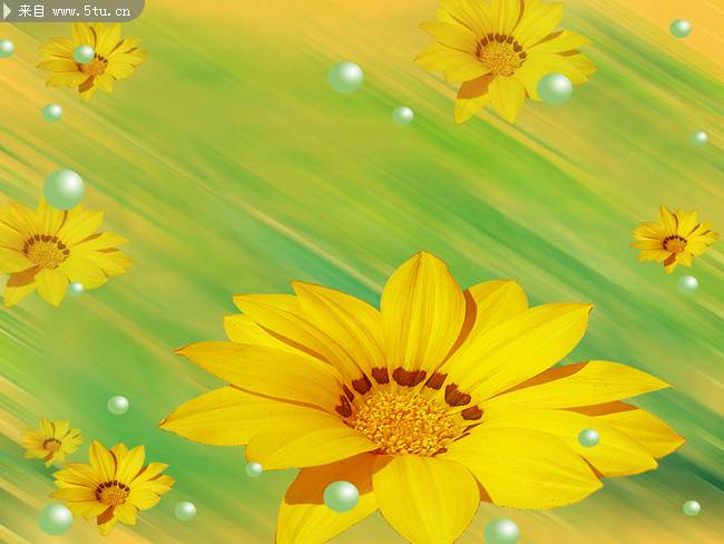 点击大图看下一张：向日葵花图片优雅水彩画素材