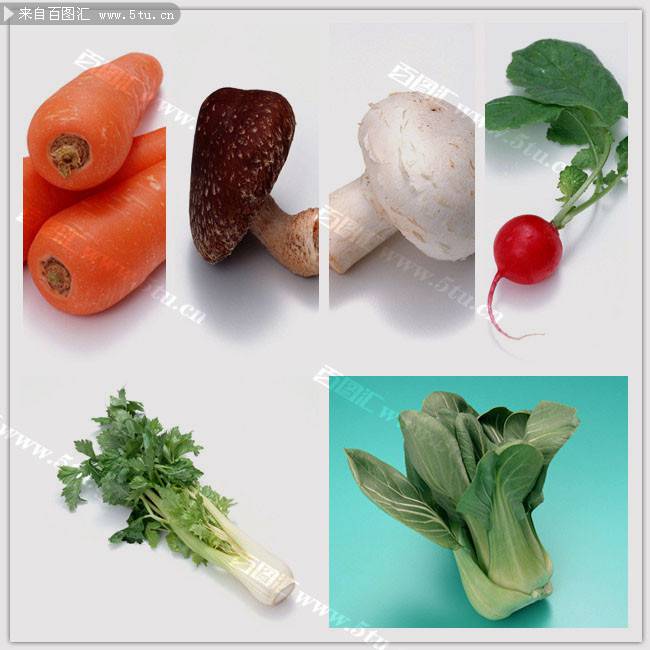 点击大图看下一张：营养丰富的胡萝卜蔬菜图片