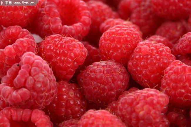 点击大图看下一张：红色的树莓水果摄影图片
