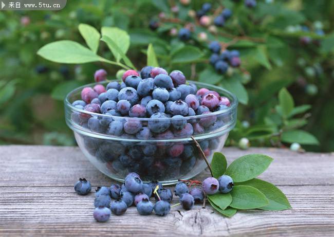 点击大图看下一张：一盘子诱人的蓝莓图片