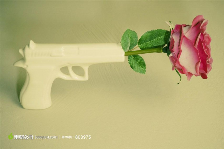 点击大图看下一张：和平的艺术枪与玫瑰图片欣赏