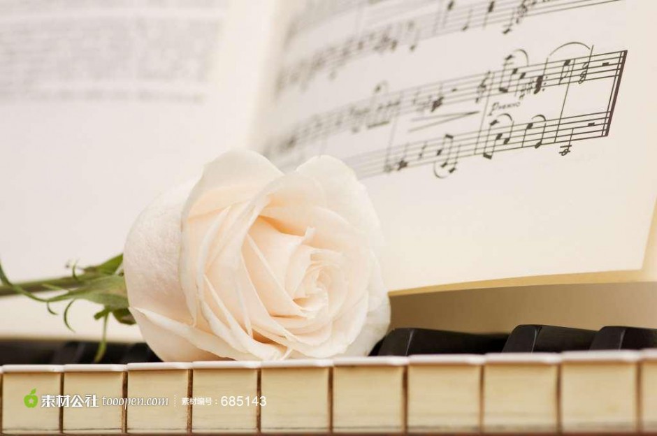 点击大图看下一张：钢琴上的玫瑰花艺术照欣赏