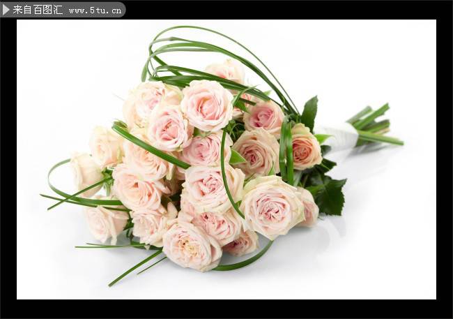 点击大图看下一张：清新素雅的粉色玫瑰花花束图片