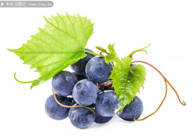 点击大图看下一张：好吃的水果葡萄图片素材