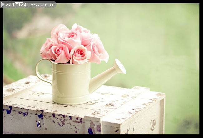 点击大图看下一张：唯美小清新粉色玫瑰花背景下载