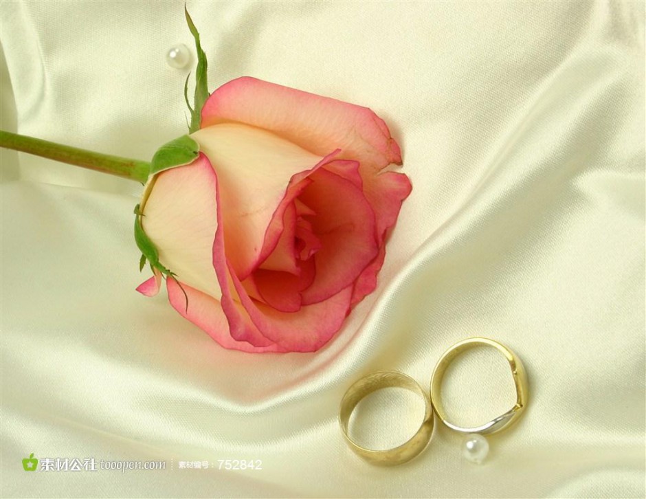 点击大图看下一张：浪漫玫瑰花和金戒指图片